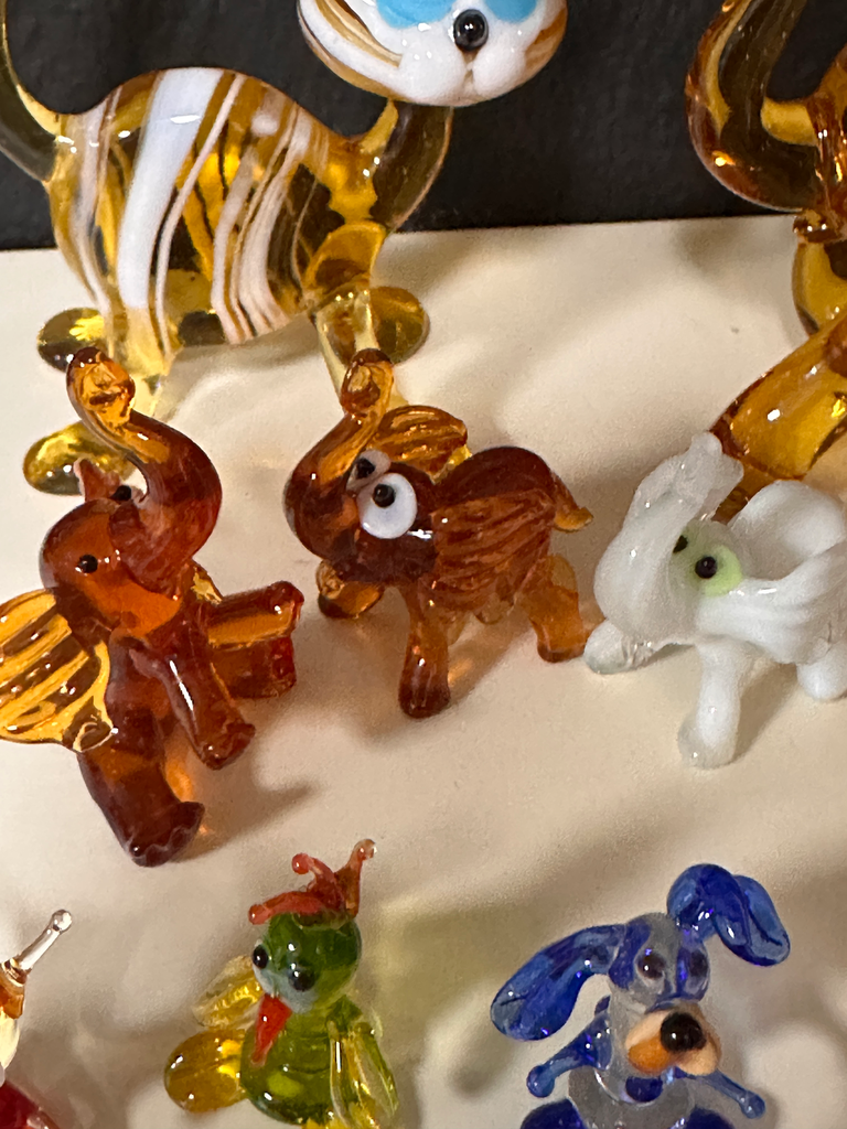 The Glass Paradise -  Midi